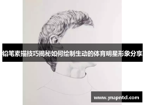 铅笔素描技巧揭秘如何绘制生动的体育明星形象分享